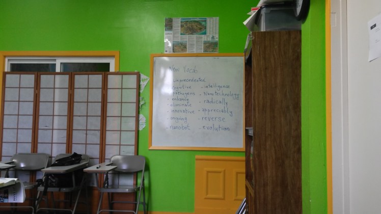 BadModelClassColors-Sophie