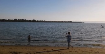 SophieBeach