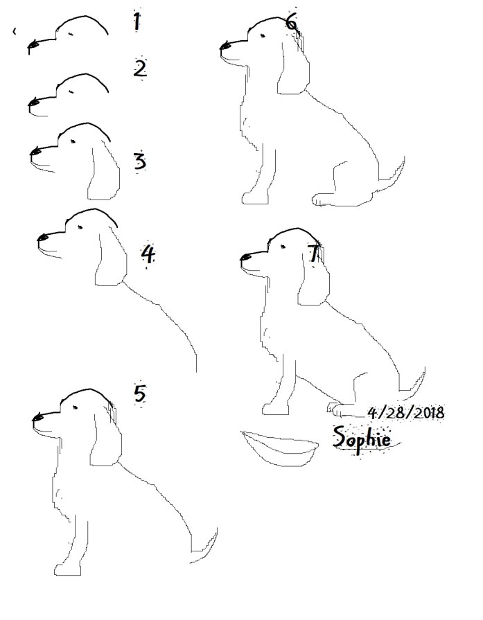 SophieDogDrawing