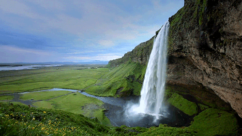flowing-waterfall-cliff-green-nature-animated-gif