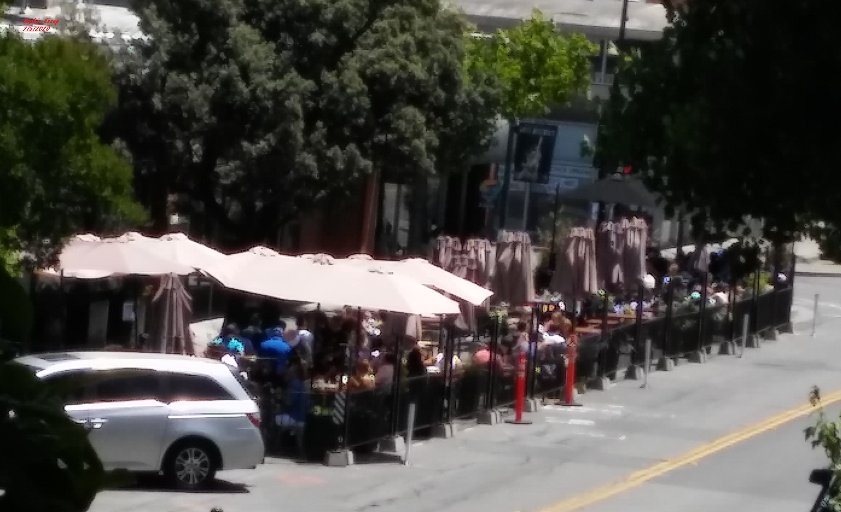 SophieSurvivalSpirit