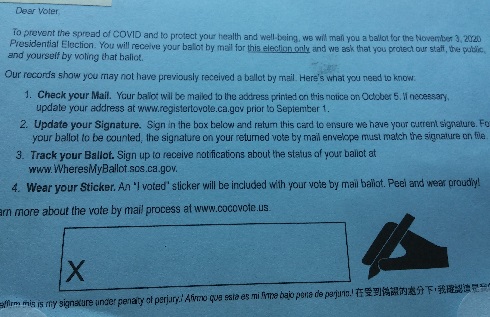 SophieSampleVotingCard