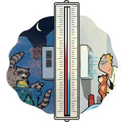 gpsynydjtdxw2oplhbwlogzmri