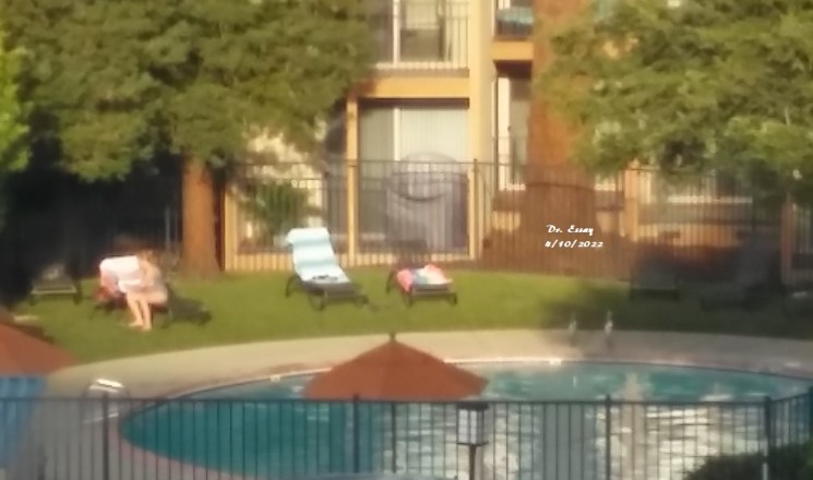 Pool Day
